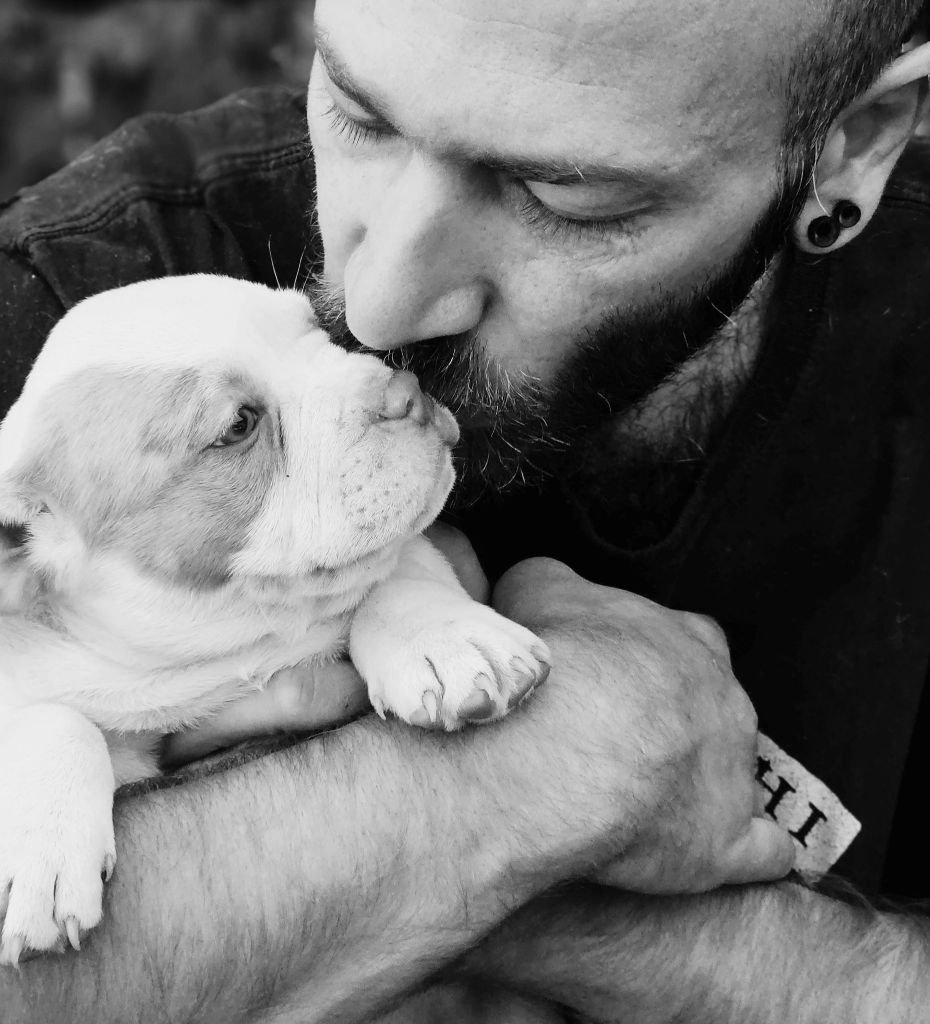 Dans Ma Bull - Naissances en vue !!!!